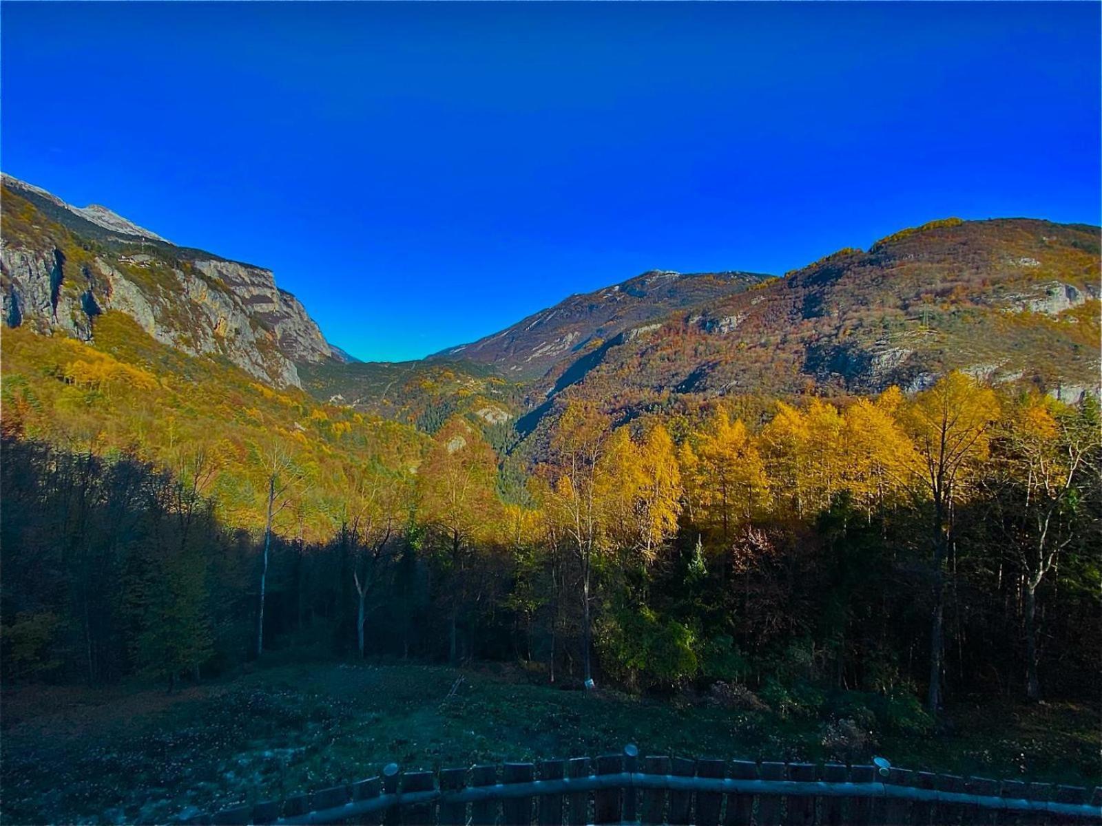 Chalet Torcel Affittacamere San Lorenzo Dorsino Zewnętrze zdjęcie